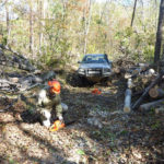 Фонд Феникс