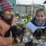 Фонд помощи бездомным животным имени Сарии Ашировой