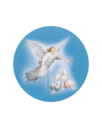 Некоммерческая организация Благотворительный фонд социальной поддержки и помощи населению «Неопалимая Купина»