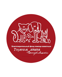 Благотворительный фонд помощи животным «Горячая линия «Потеряшки», г. Тюмень