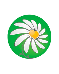 Благотворительный фонд «Весна в сердце»