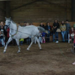 Благотворительный фонд Тихомировых